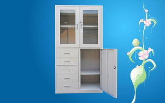 沙溪彩色鐵文件柜廠價格解析 零售專賣與批發搶購指南