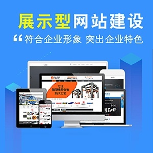 營銷推廣、企業(yè)推廣與網站建設 構建數字化商業(yè)成功的三大支柱